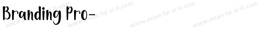 Branding Pro字体转换